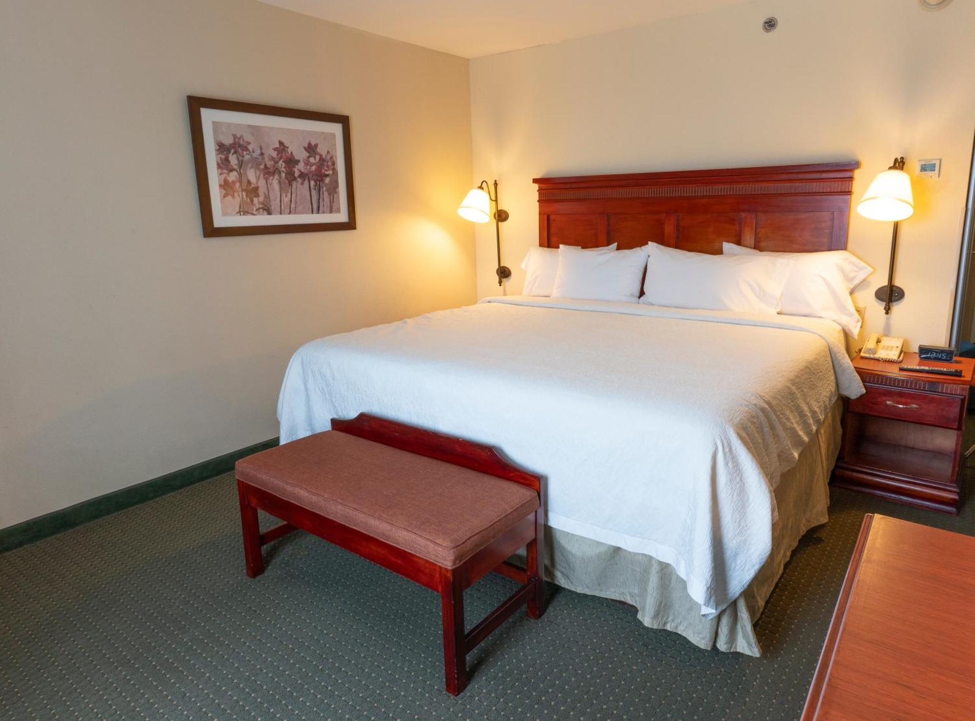 Hampton Inn By Hilton Guadalajara-Aeropuerto Las Pintas Екстериор снимка